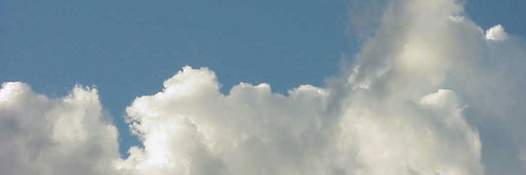 ~bollet-polpub's banner