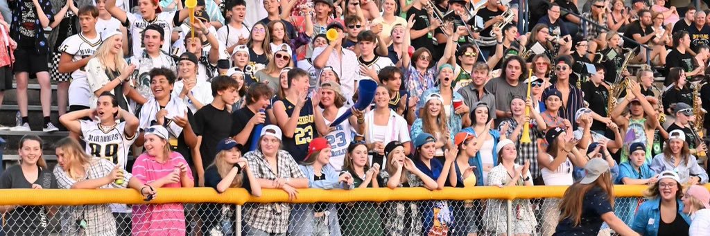 Ovid-Elsie M-Zone banner