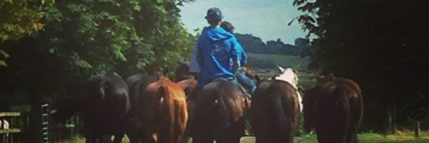 IngleshamPolo's profile banner image