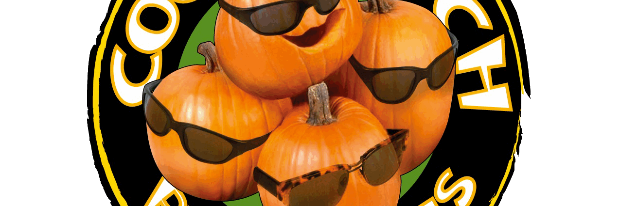 CoolPatchPmpkn's profile banner image