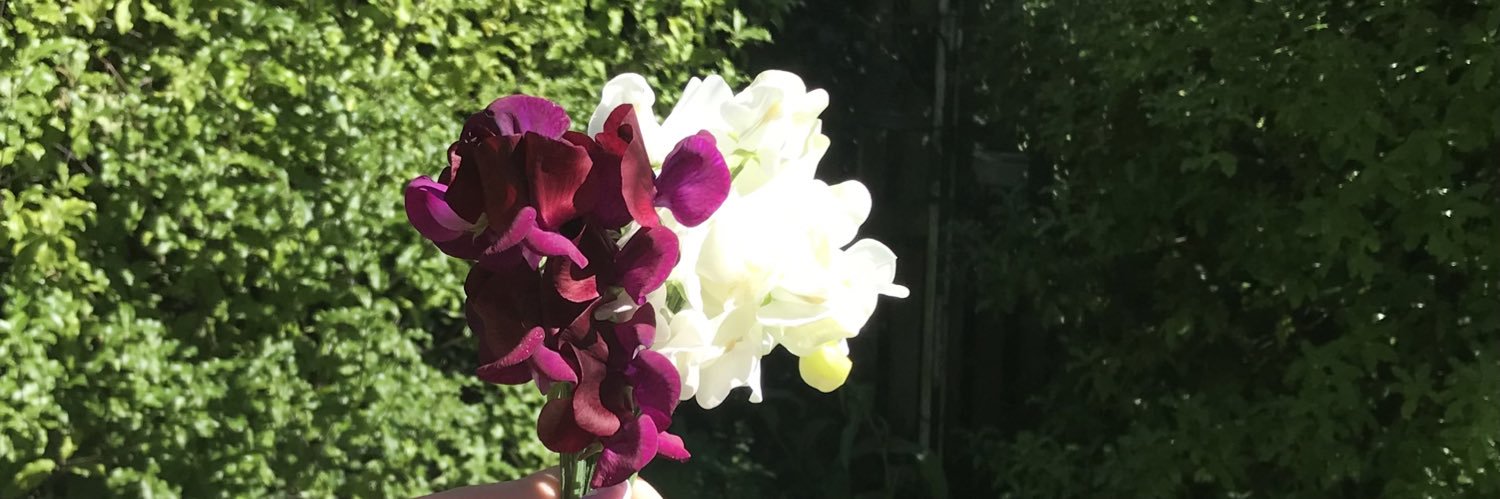 Robbie27341's profile banner image