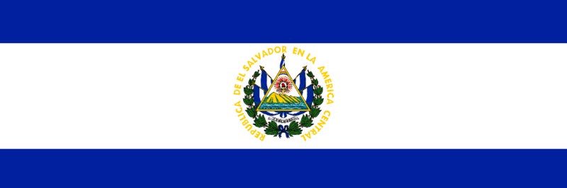 Guillermo Gallegos's banner
