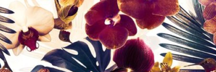 Katerina Dima banner