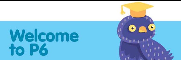 MPS_Primary6 Profile Banner