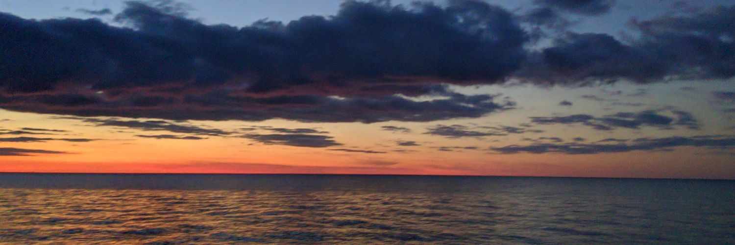 𝔼𝕕 ℂ𝕠𝕝𝕝𝕚𝕟𝕤 banner