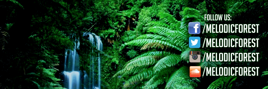 melodicforest's profile banner image