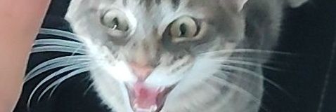 FlorentnerolF's profile banner image