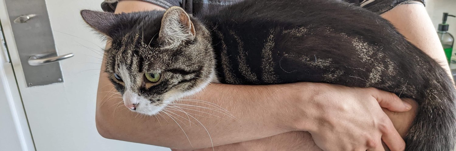 WITCHTICS's profile banner image