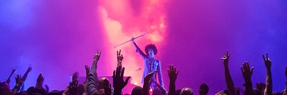 Funky Yoda 💜🏳️‍🌈☮️🇺🇦 banner