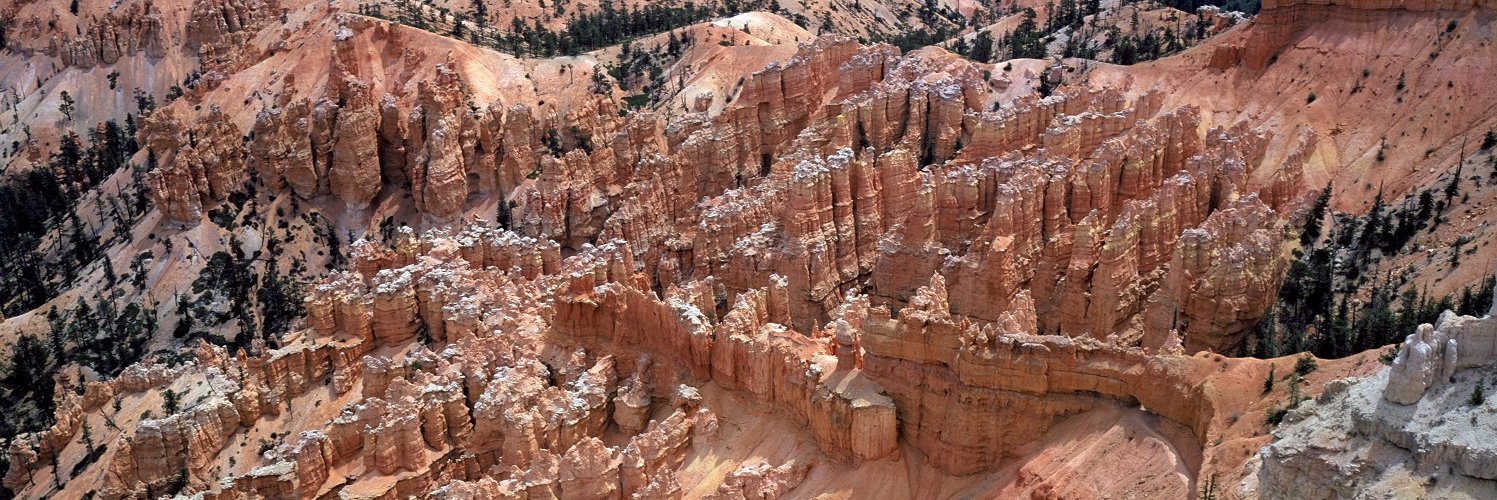 Franck Jeannin banner