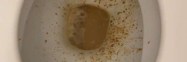 pierrebrtr's profile banner image
