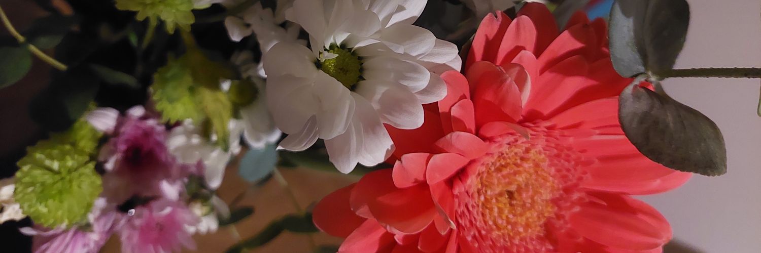 nilsa74's profile banner image