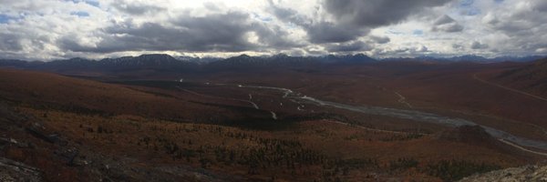 joegoeman Profile Banner