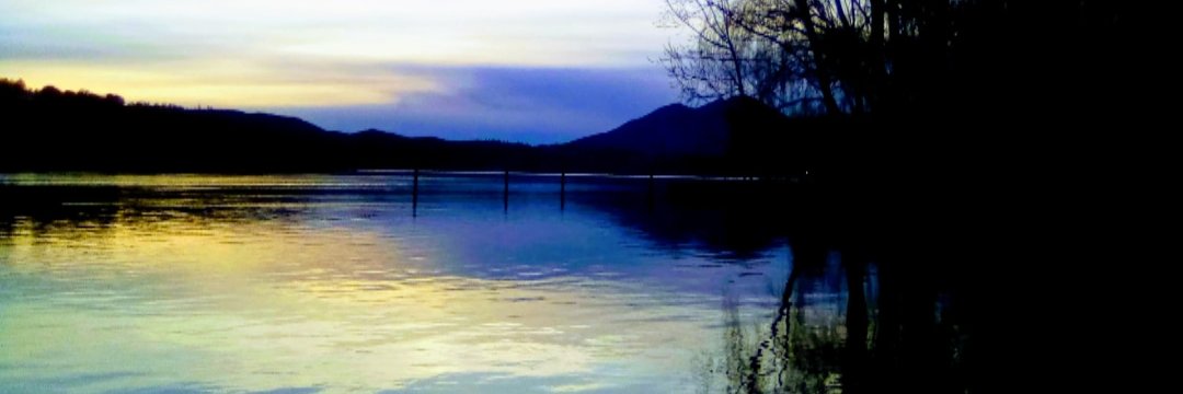LTencelski's profile banner image