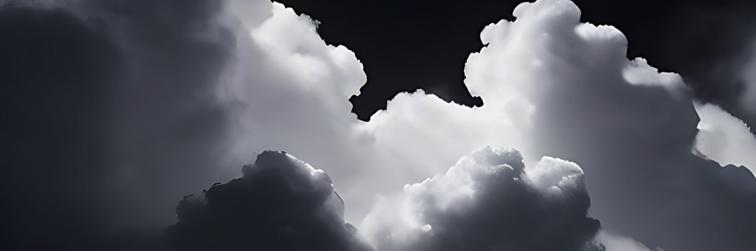 Basiphilia's profile banner image