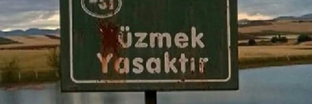Kelessbeyzaa's profile banner image