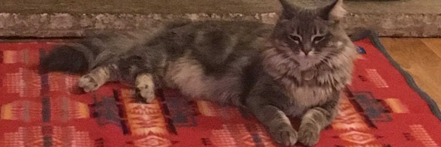 seamack's profile banner image