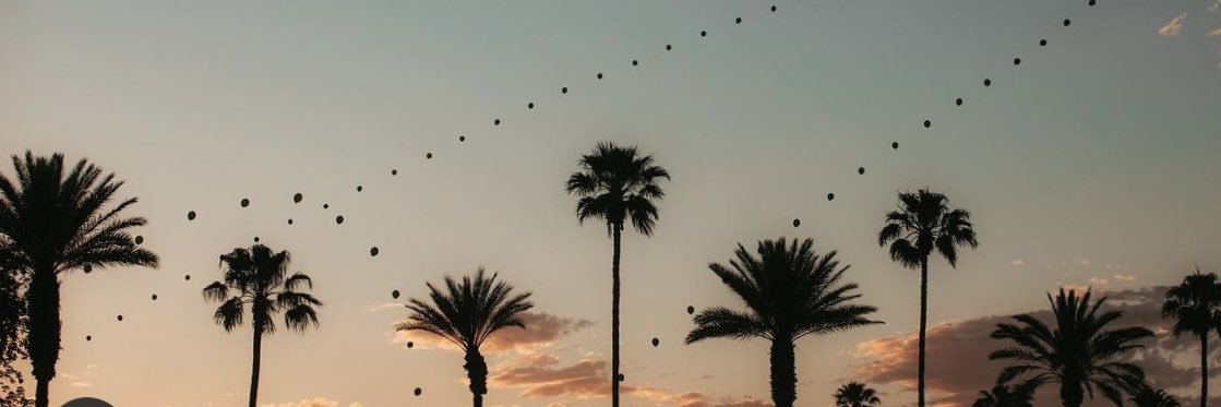 Tayyb19's profile banner image