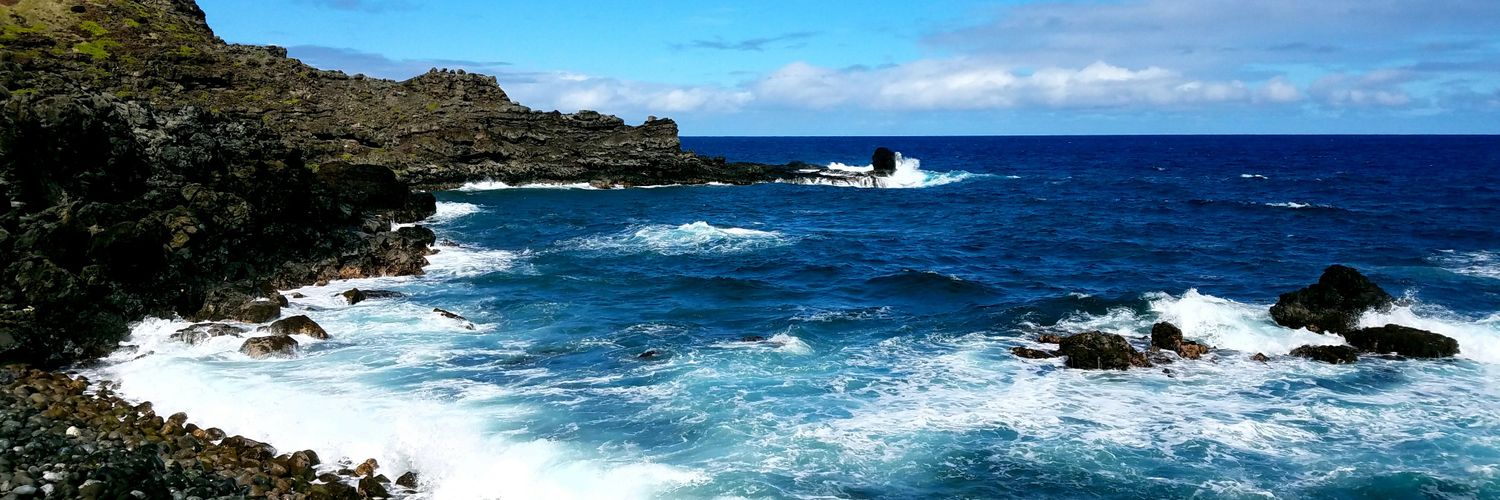 KimFarrell227's profile banner image