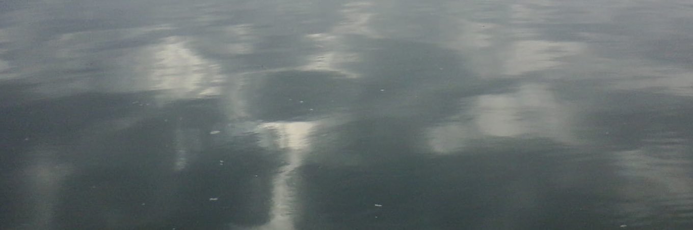 jordimasdansa's profile banner image