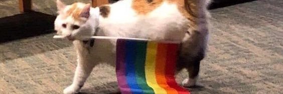 ItsLexBiittch's profile banner image