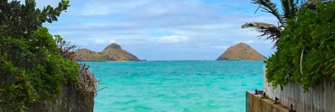 Erin Dickins 🎶 banner