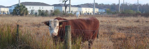 AroundOsceola Profile Banner