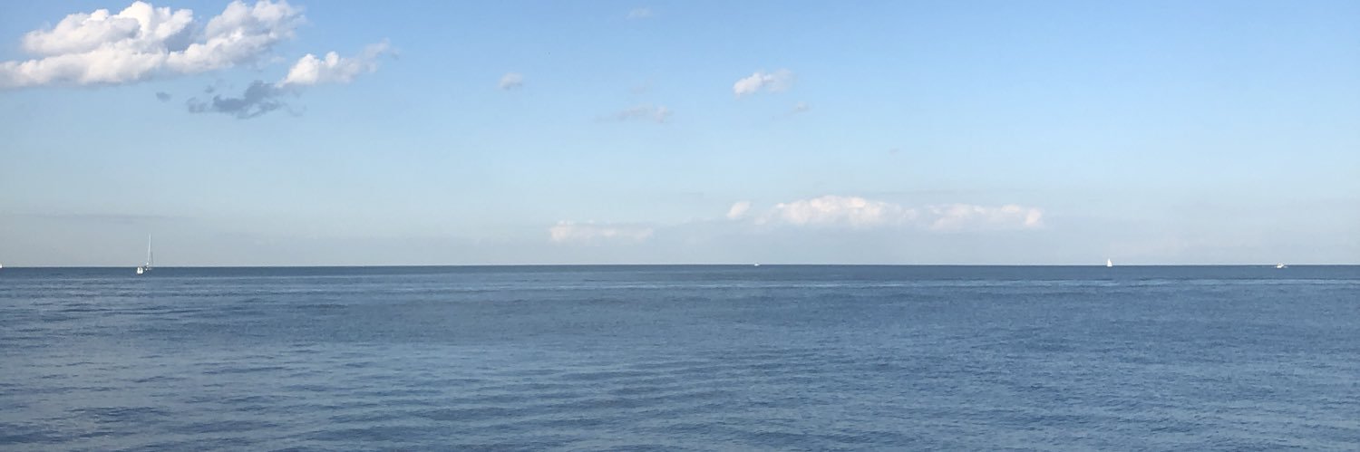 Sara (Rapaport) Simons banner