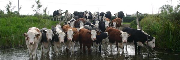 andyrumming Profile Banner