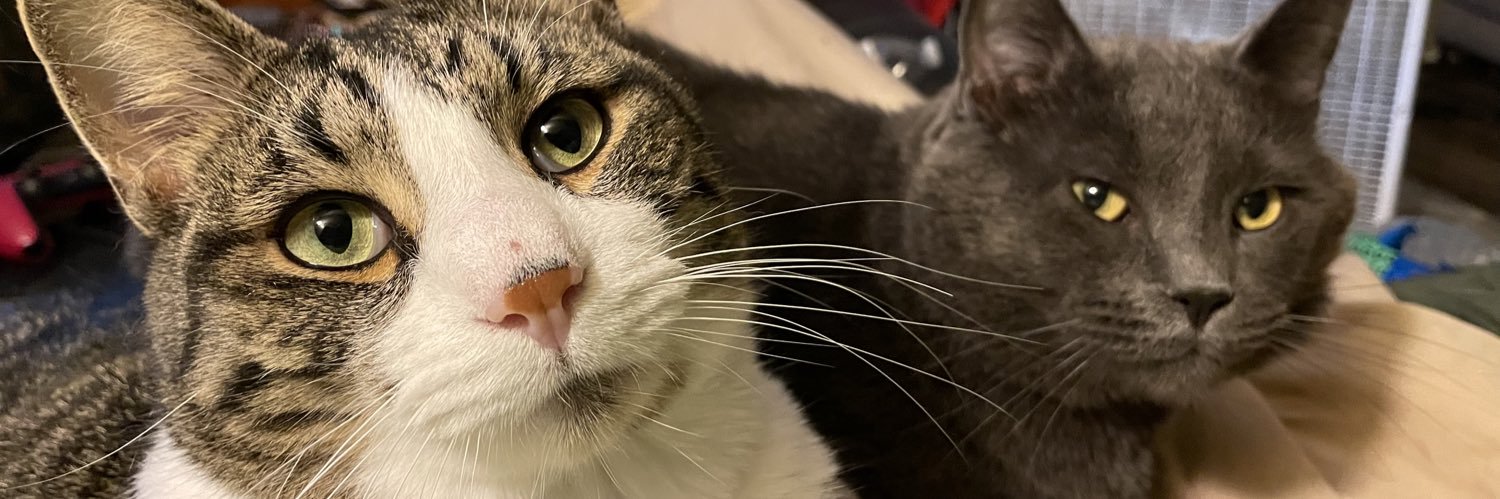 kennedydylan2's profile banner image