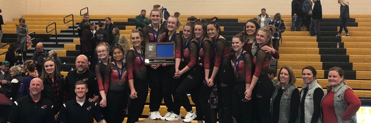 CardsGymnastics's profile banner image