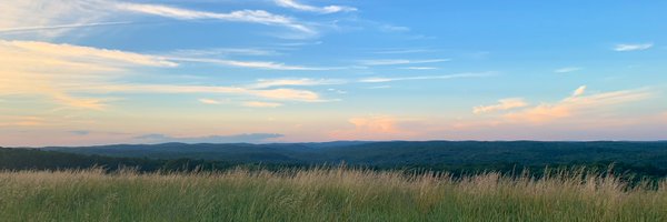 MBashaw7 Profile Banner