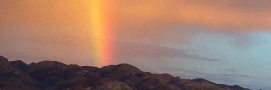 lorettaddonovan's profile banner image