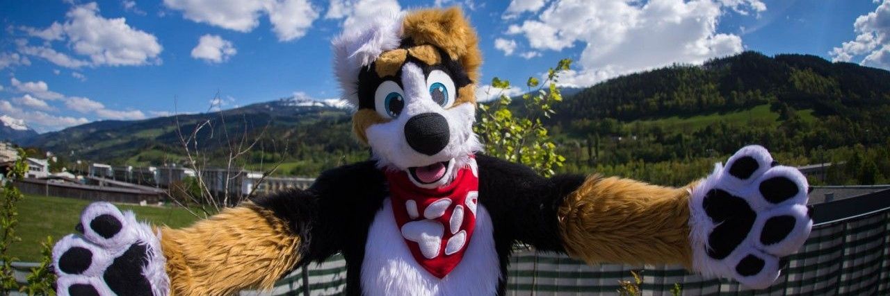 AziTheDog's profile banner image