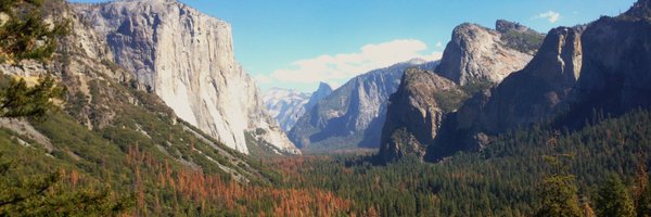 mmorgante Profile Banner