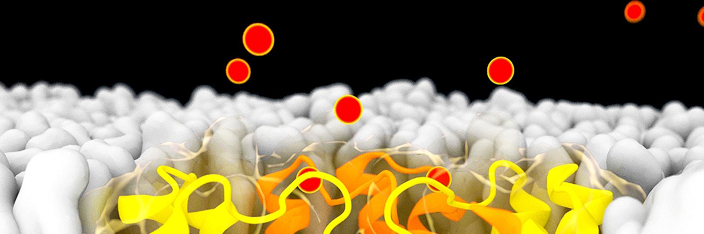 HanSun_lab's banner
