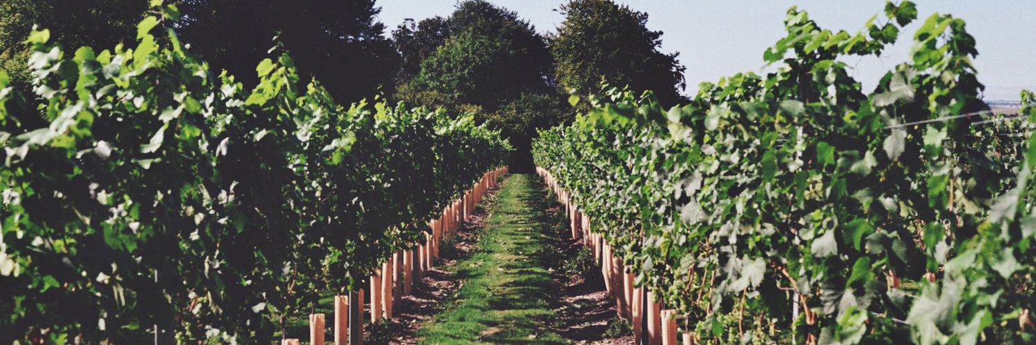 Wine List banner