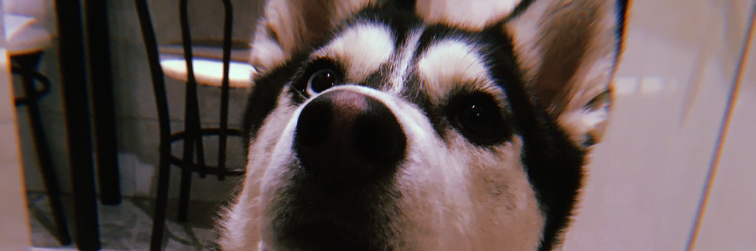 Vaaaal_02's profile banner image