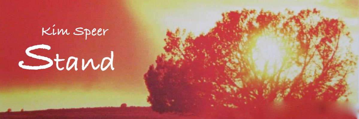 joachimaspeer's profile banner image