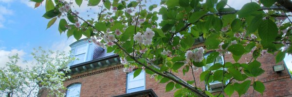 HarvardUSJapan Profile Banner