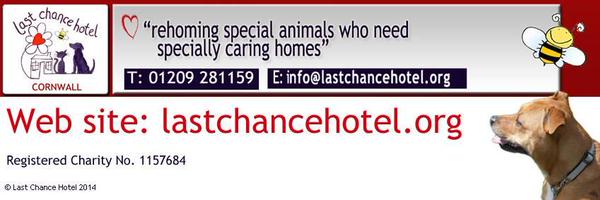 InfoLCHRescue Profile Banner