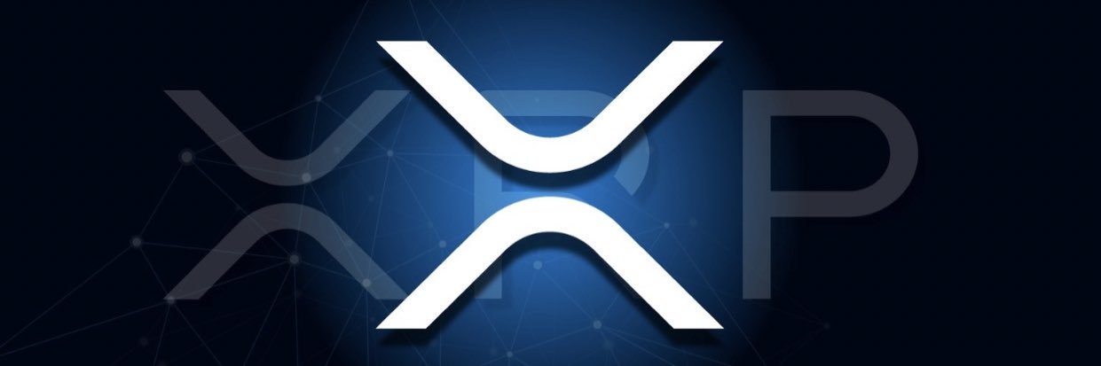 Crypto EEL banner