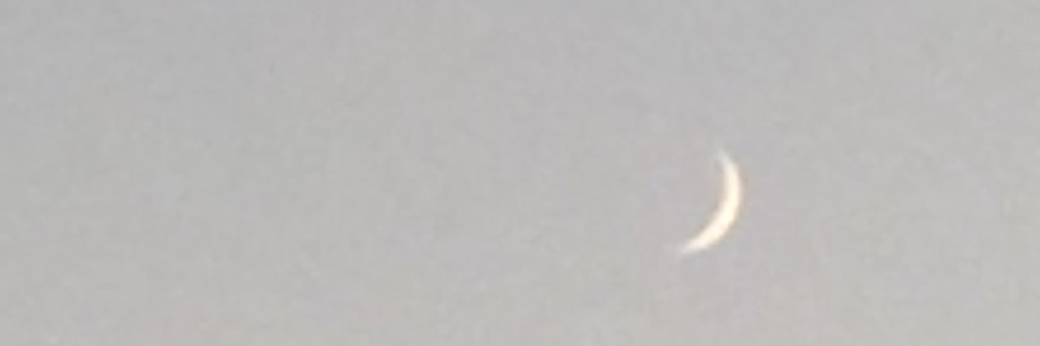 geowollner's profile banner image