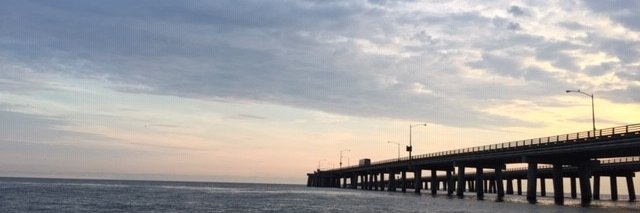 Dr. Dana W. Cho banner