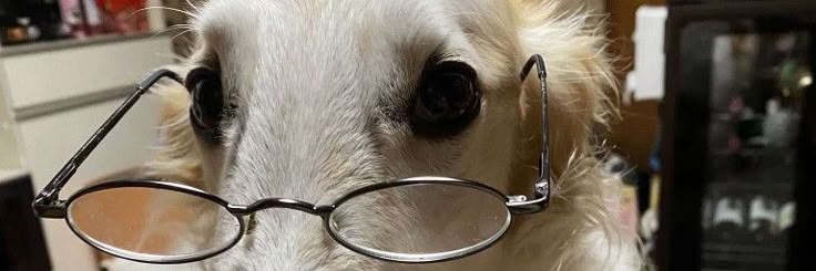 LenarSanta's profile banner image