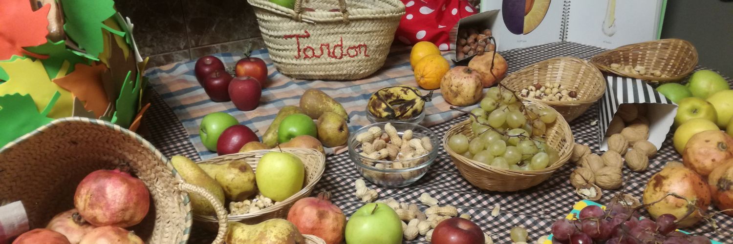 lluis ferrer de nin 🌊 banner