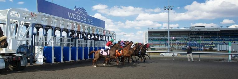 CanadianMillion's profile banner image