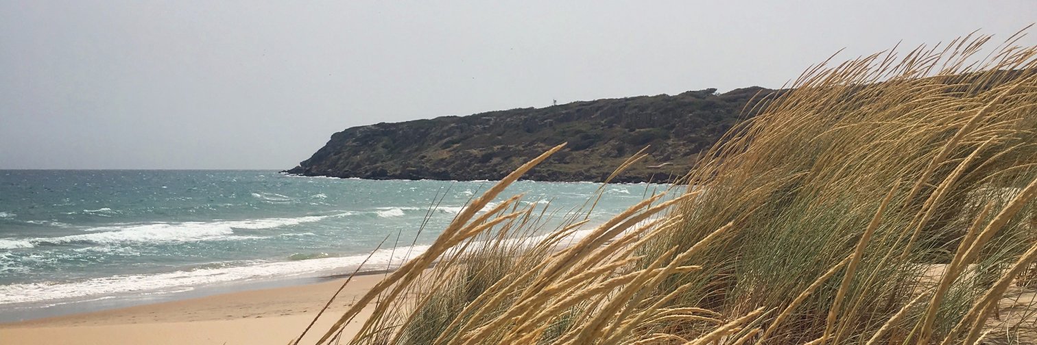 Kelly-Anne Borge banner