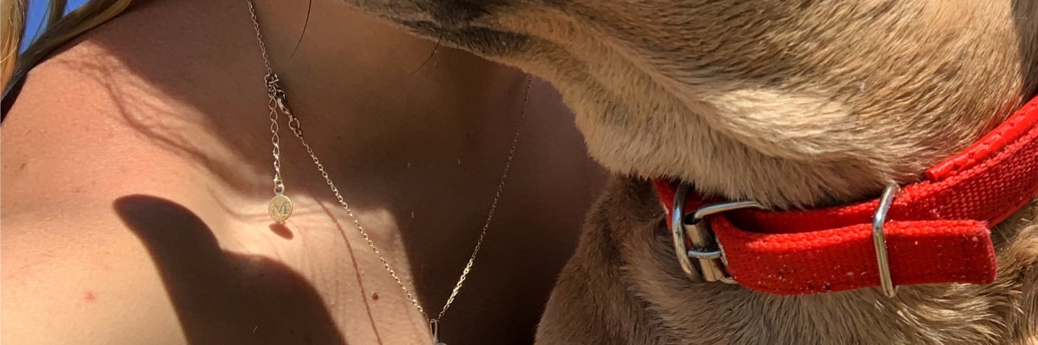 paulagurb's profile banner image