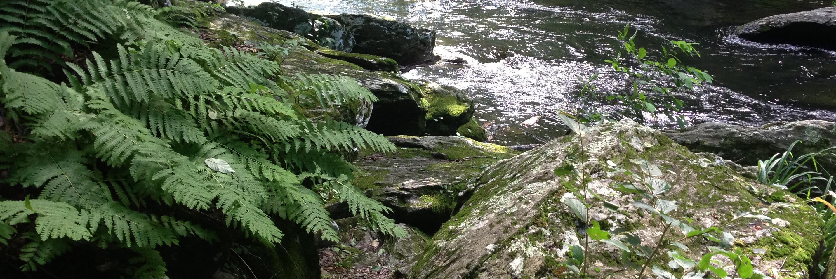 retired_deb's profile banner image